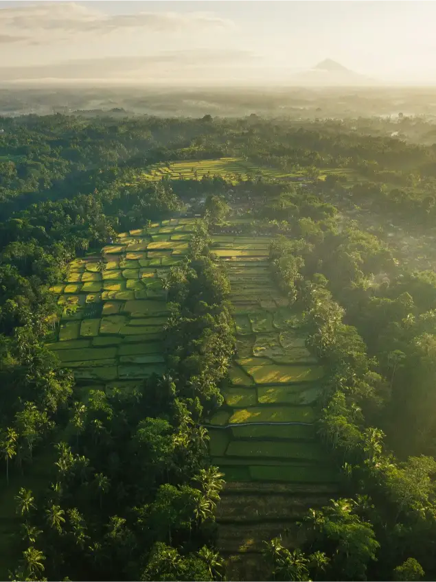BaliTripTop's Blog Thumbnail Image - Why Hiring a Private Driver is the Best Way to See Bali